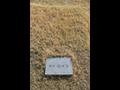 권갑석 묘소 썸네일 이미지