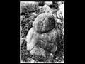 익산 미륵사지 석탑 동남쪽 모서리 석상 썸네일 이미지