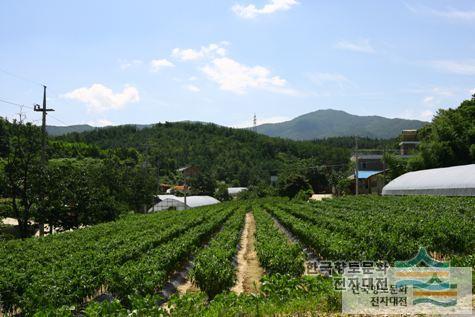 대표시청각 이미지