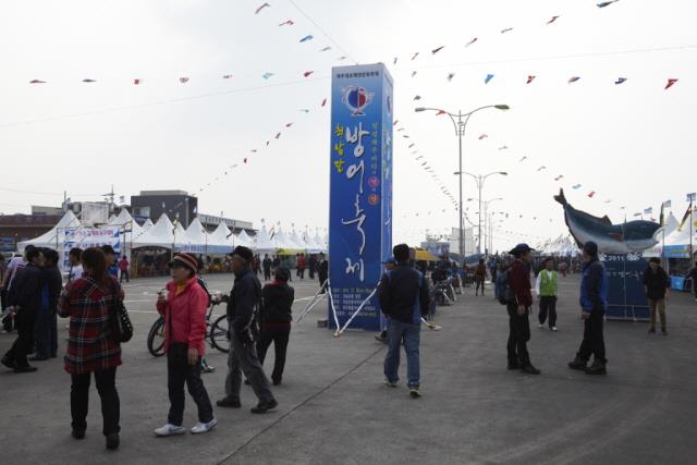 2011년 최남단 방어 축제 행사장 전경 썸네일 이미지